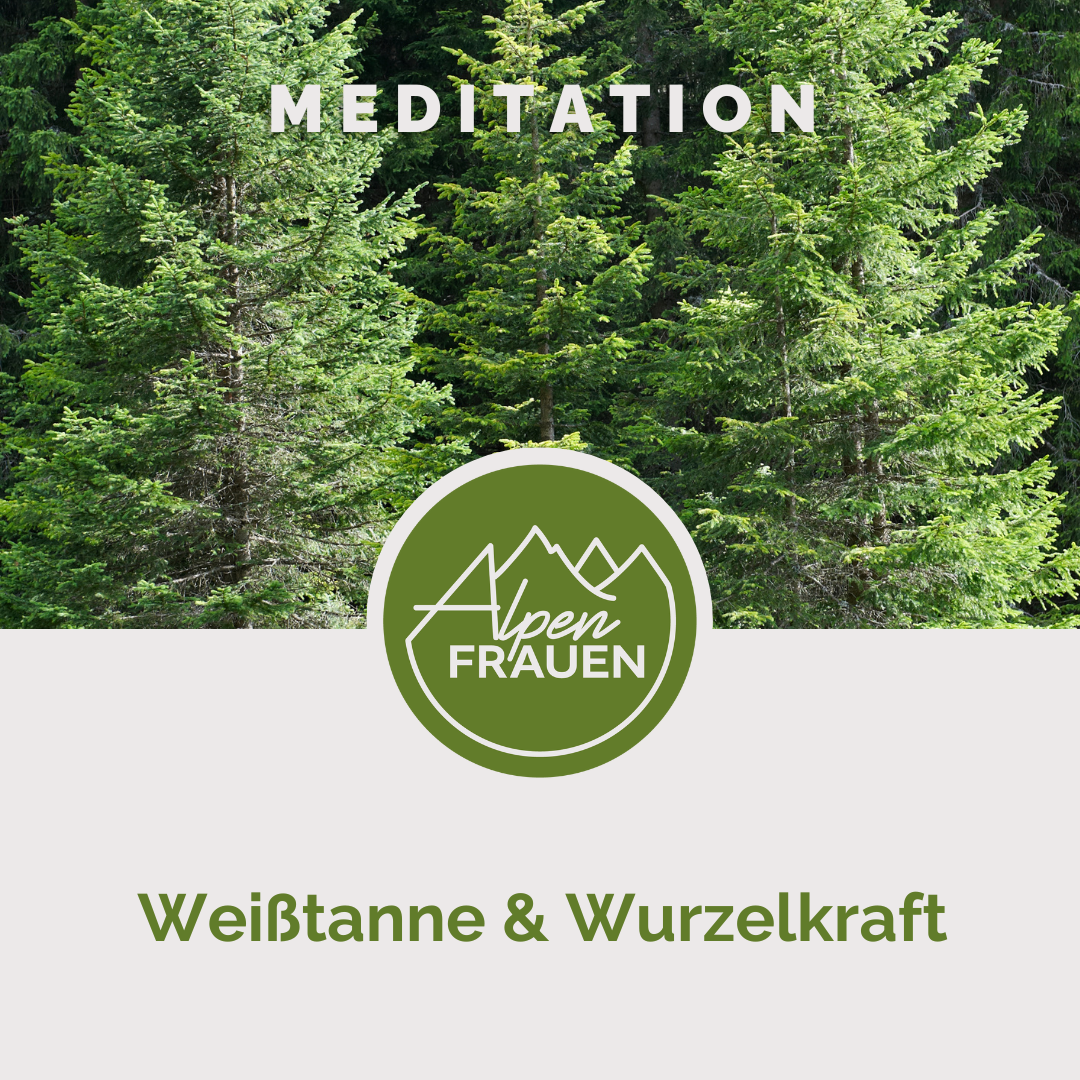 Die Weißtanne und die Wurzelkraft